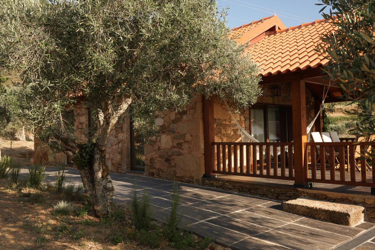 Quinta Vila Rachel - Winery Sao Mamede de Ribatua Zewnętrze zdjęcie